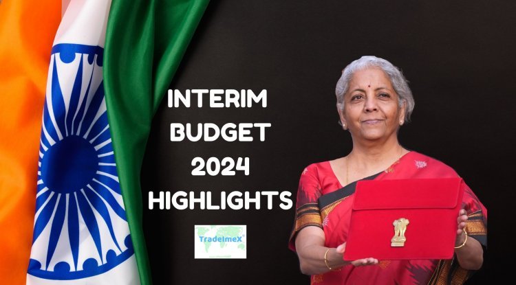 Indias Ambitious Interim Union Budget 2024 25 TradeImeX Blog