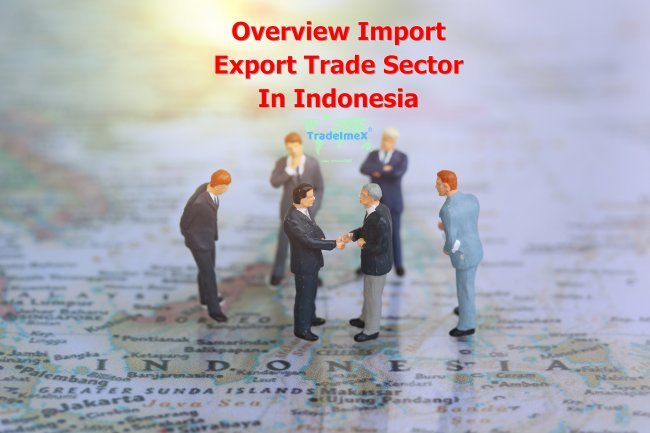 What Are The Top 10 Import Products Of Indonesia? - TradeImeX Blog ...