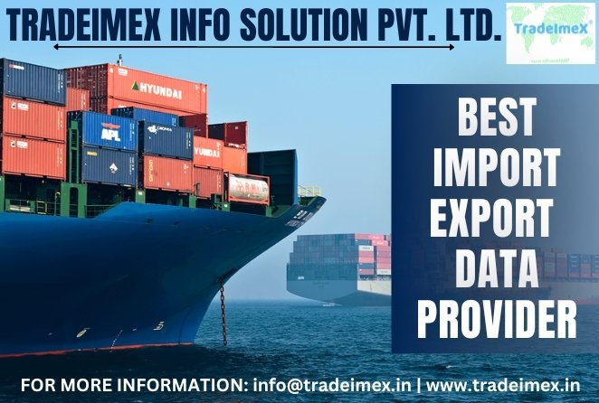 Best Import Export Data Provider