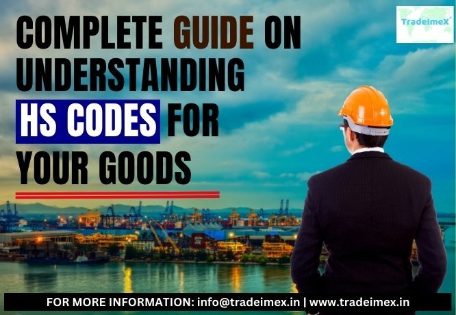 Complete Guide on Understanding HS Codes for your Goods