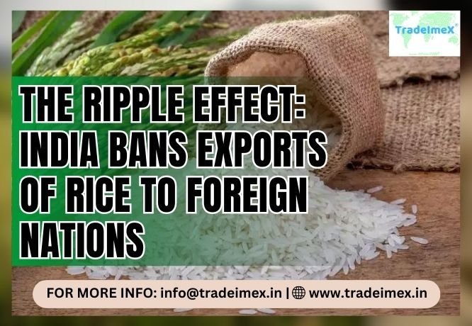 The Ripple Effect: Understanding Which Nation Is Affected The Most Due To India's Ban On Rice Exports