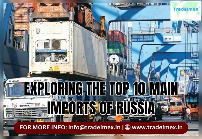 What are the top 10 import products of Russia?