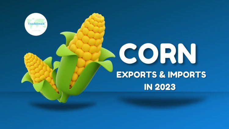 Corn exports and imports in 2023