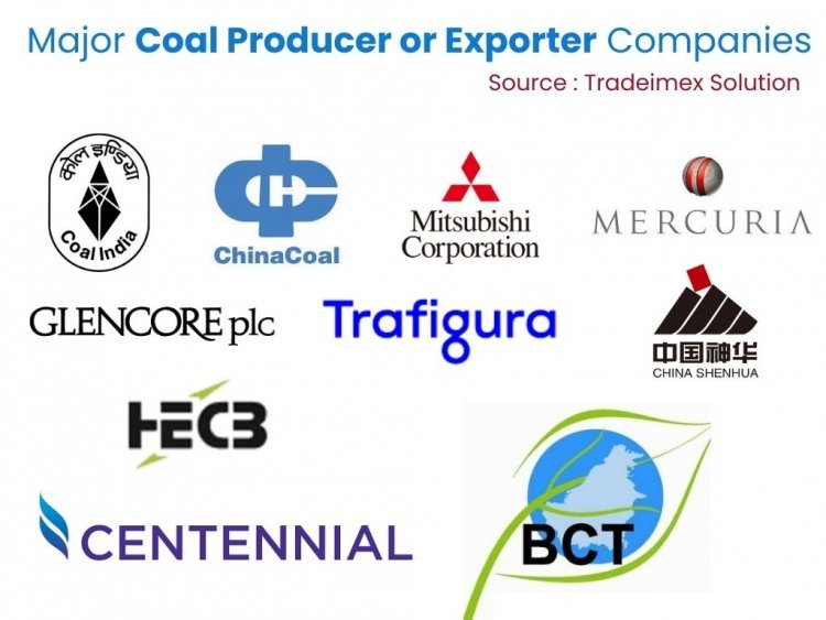 biggest coal producer or exporter company