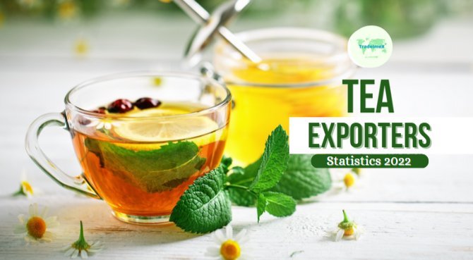 Top 10 Tea Exporter Countries in 2022