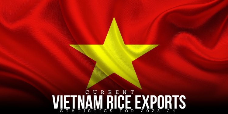 Current Vietnam Rice Exports Statistics for 2023-24