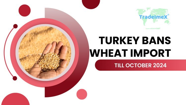 Turkey Bans Wheat Imports till October