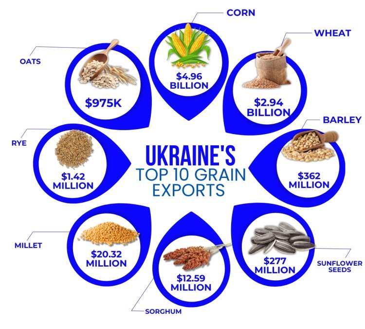 Ukraine's Top 10 Biggest Grain Exports in 2023 | top 10 graine exports of ukraine