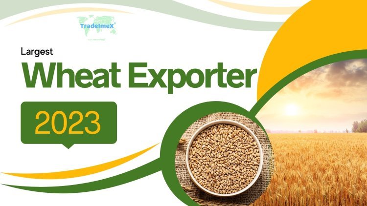 Top wheat exporter in the world in 2023