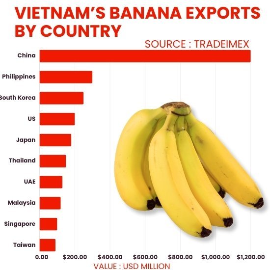 Vietnam’s banana exports 