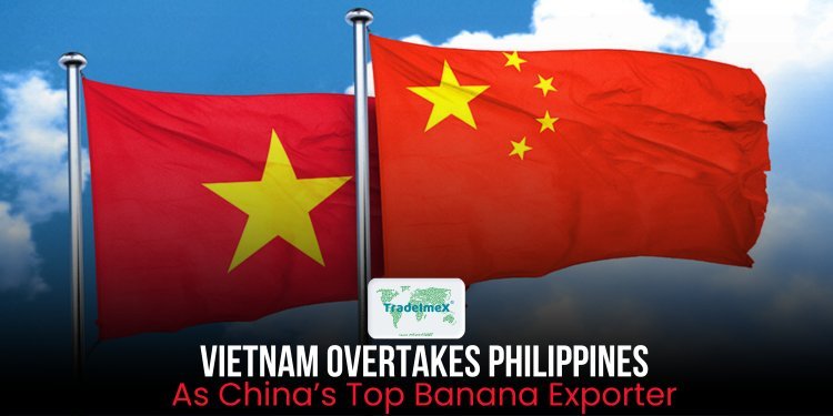 Vietnam Overtakes Philippines as China’s Top Banana Exporter