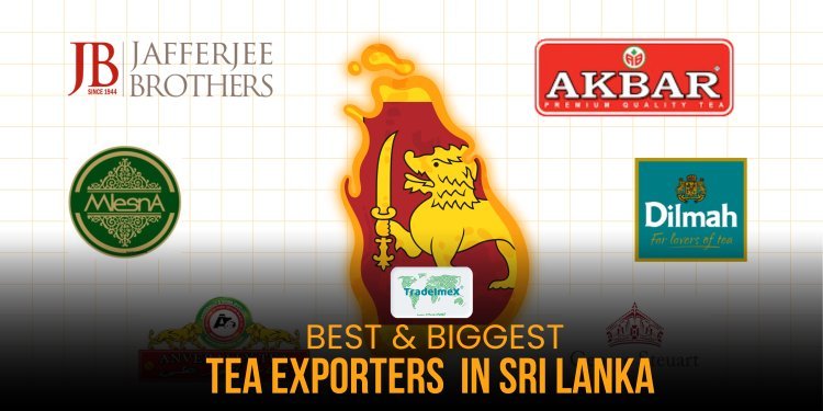 Major Tea Exporters and Suppliers in Sri Lanka