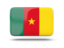 Cameroon Import Export Data