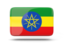 Ethiopia Import Export Data
