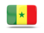 Senegal Import Export Data